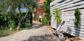 Casale Terra Sole B&B